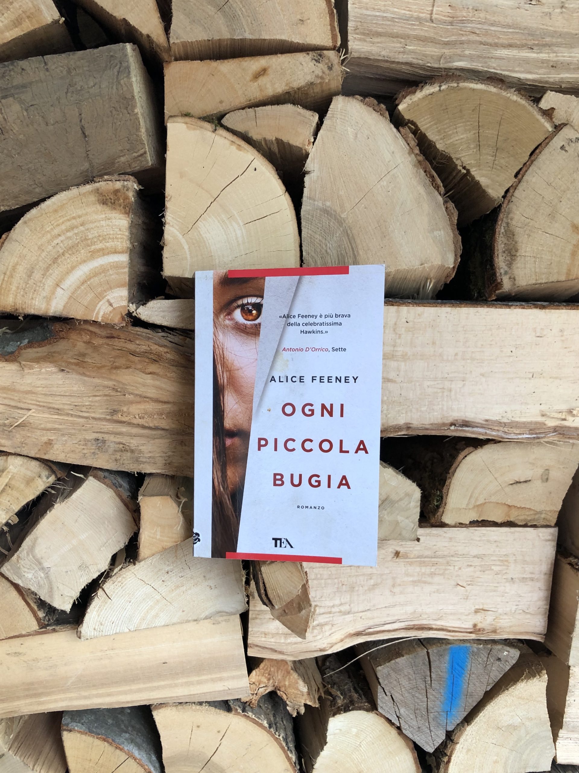 Ogni piccola bugia Alice Feeney recensione