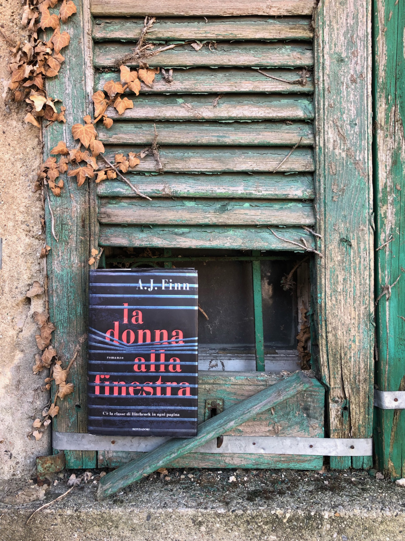 La donna alla finestra A. J. Finn recensione