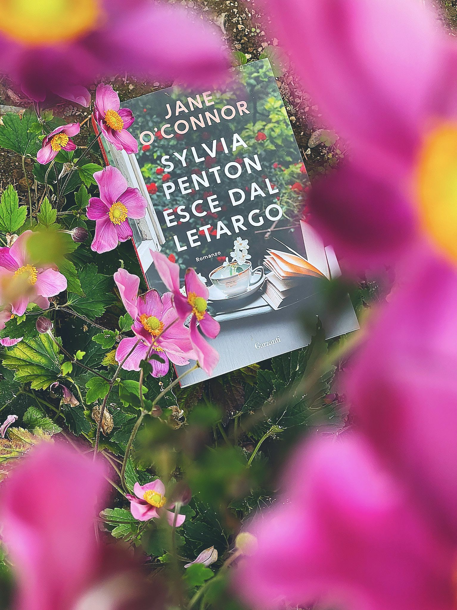 Sylvia Penton esce dal letargo Jade O'Connor recensione