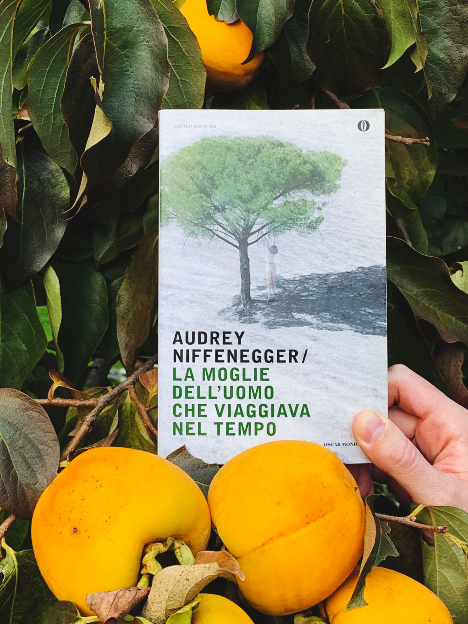 La moglie dell'uomo che viaggiava nel tempo Audrey Niffenegger recensione