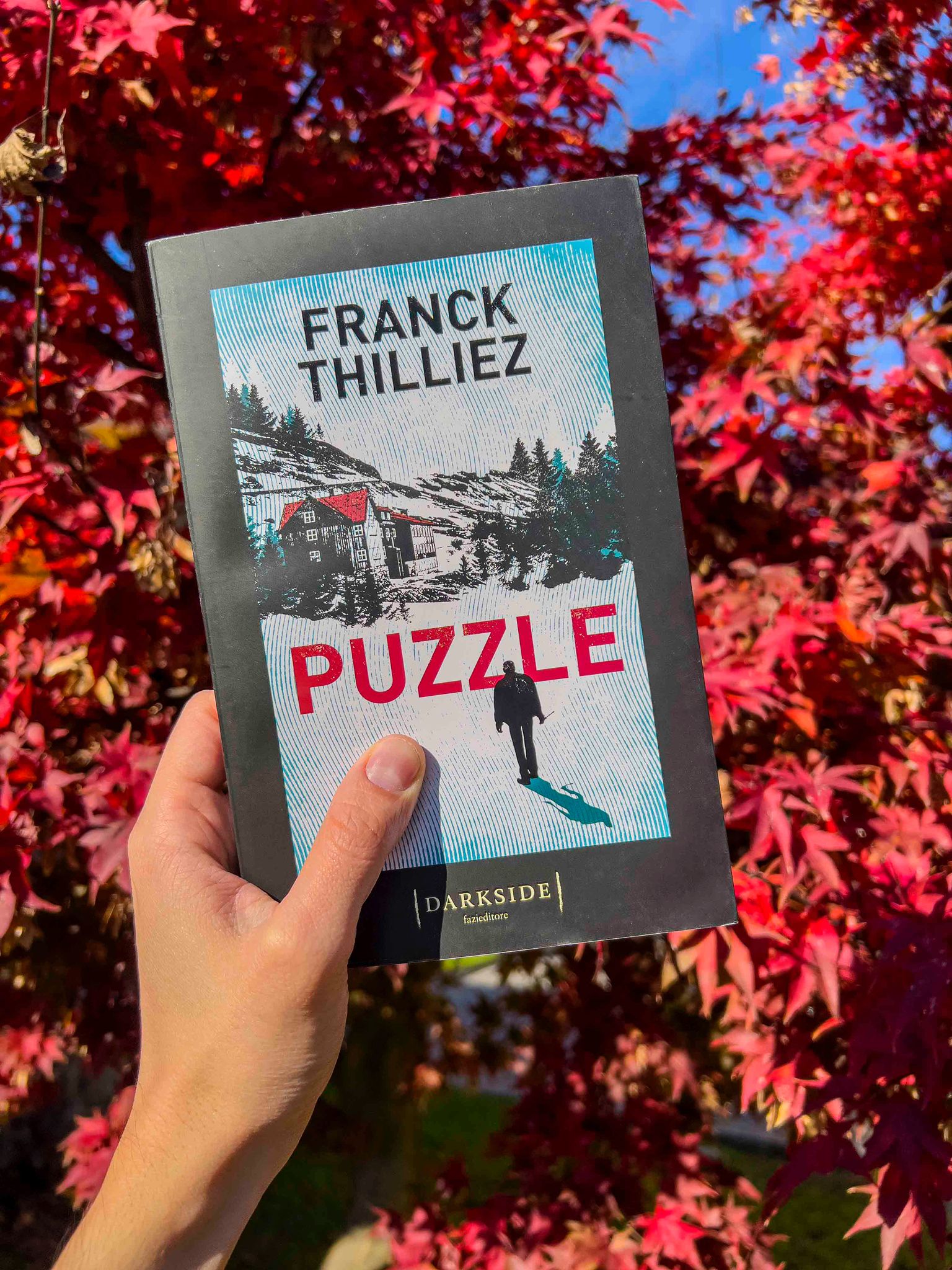 Recensione: Puzzle - Franck Thilliez - I libri di Dede