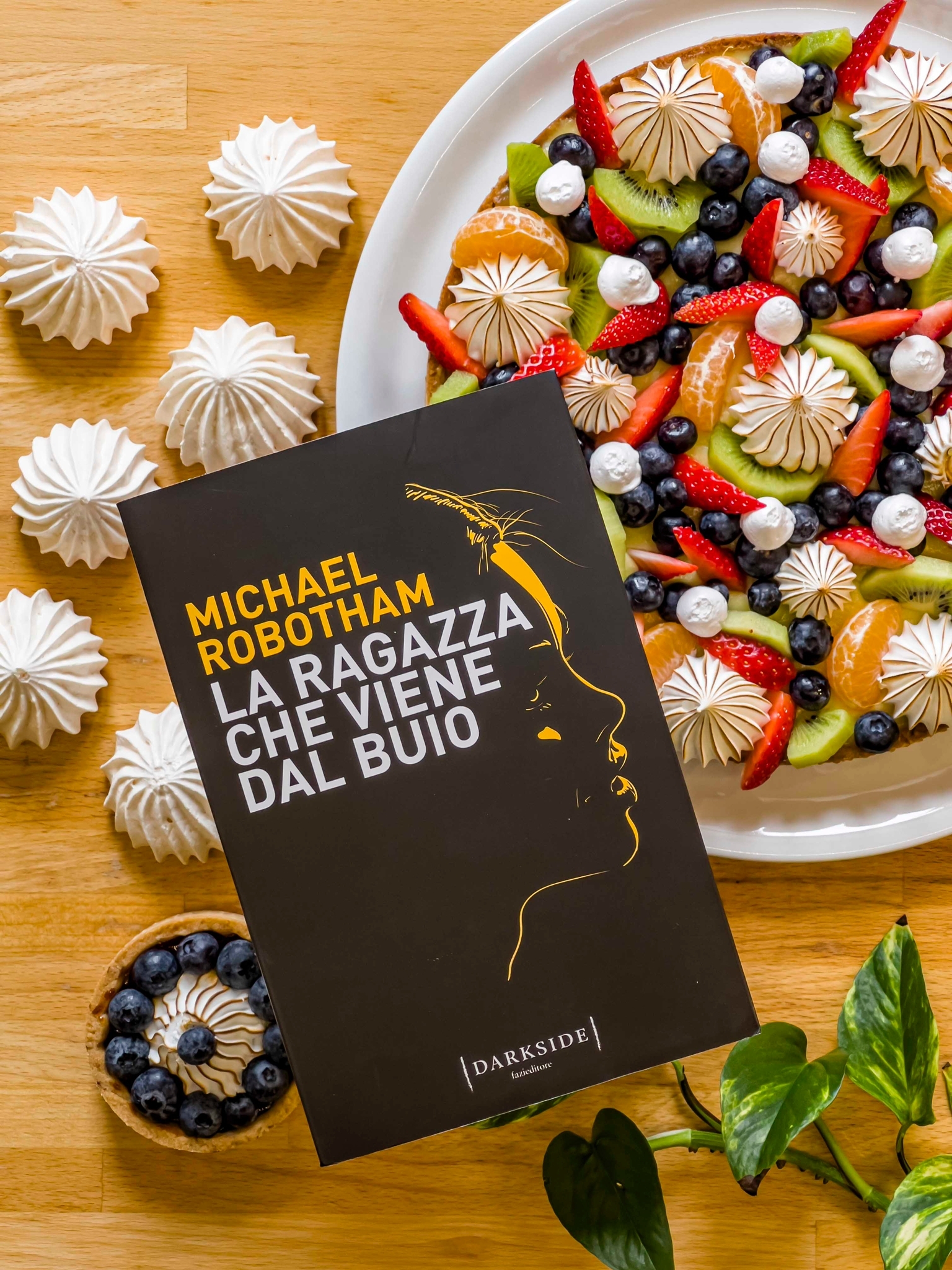 La ragazza che viene dal buio Michael Robotham recensione