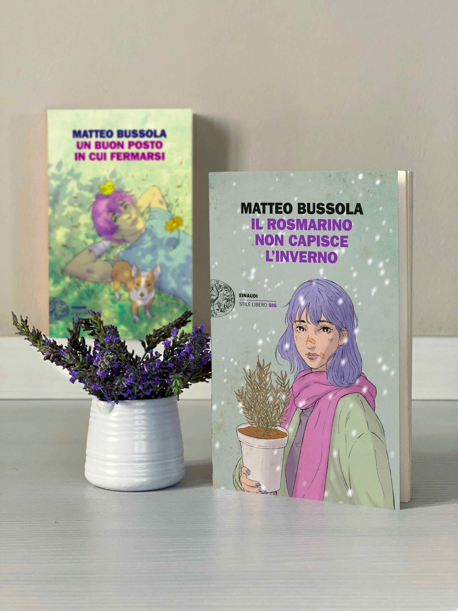 Recensione: Il rosmarino non capisce l'inverno - Matteo Bussola - I libri di  Dede