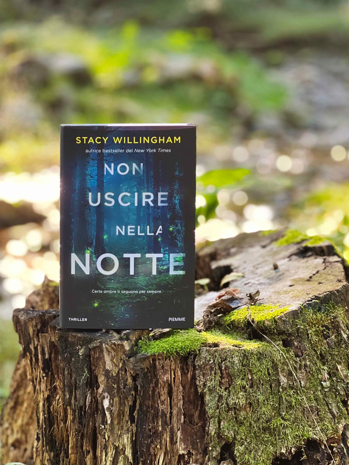 Non uscire nella notte Stacy Willingham recensione