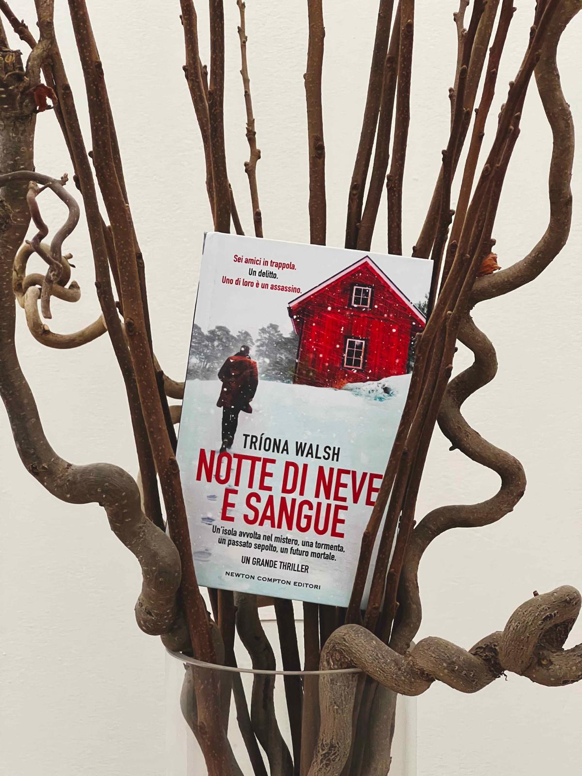 Notte di neve e sangue Tríona Walsh recensione