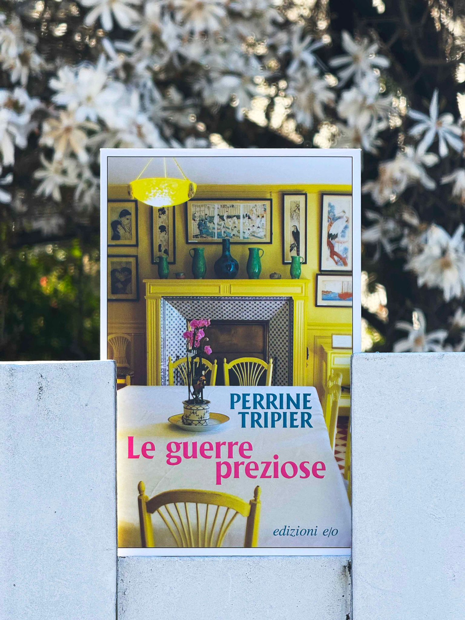 Le guerre preziose Terrine Tripier recensione